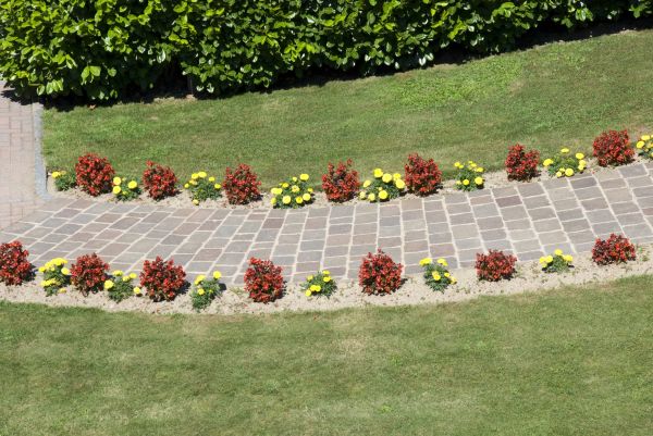 Garden Paving in Ventura