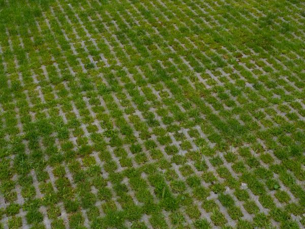 Cost of Permeable Pavement Service in Ventura