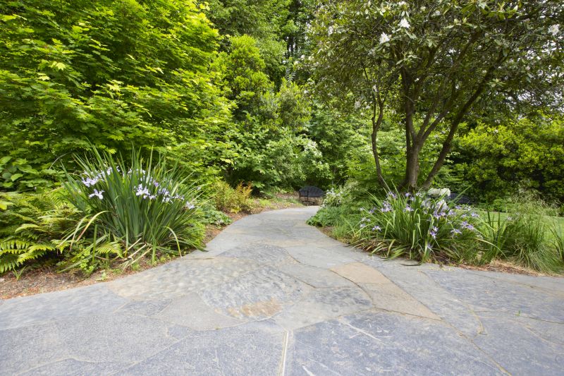 Landscaped Paver Pathway